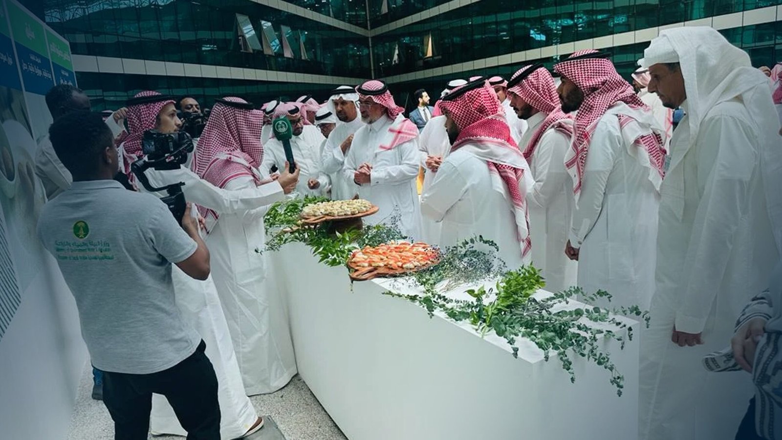 فعالية البدائل النباتية