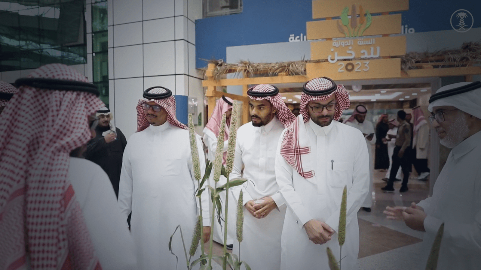 السنة الدولية للدخن